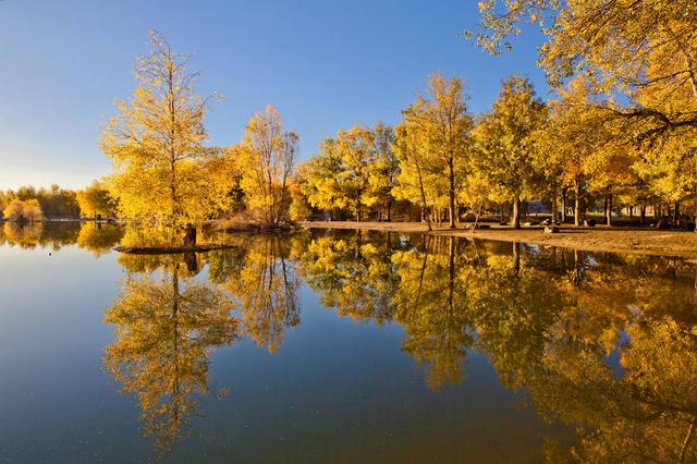 酒泉紅柳廣告最新一期影響力與觀點深度探析
