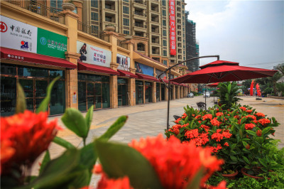 中森茗苑最新動態(tài)更新,綠意盎然的生活空間????