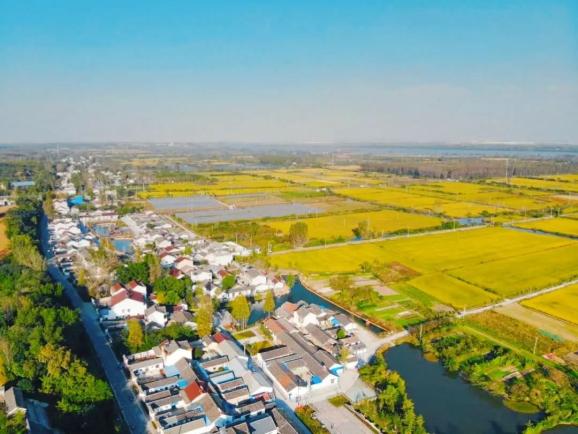 烏江新市鎮最新動態更新,最新消息匯總