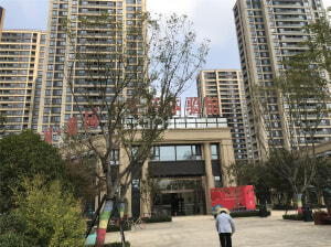 蕭縣綠城樓盤最新動態,市場深度解析與個人觀點