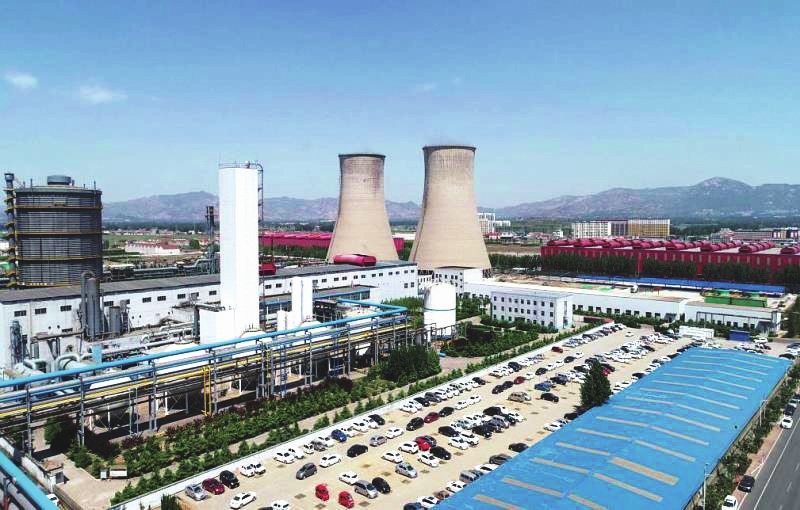 山東九羊公司蓬勃發(fā)展,引領行業(yè)新潮流,最新消息揭秘發(fā)展動態(tài)