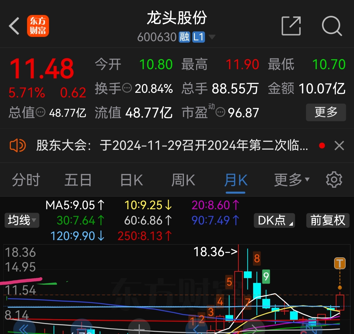 龍頭股份最新消息揭秘，小巷深處的隱藏價值