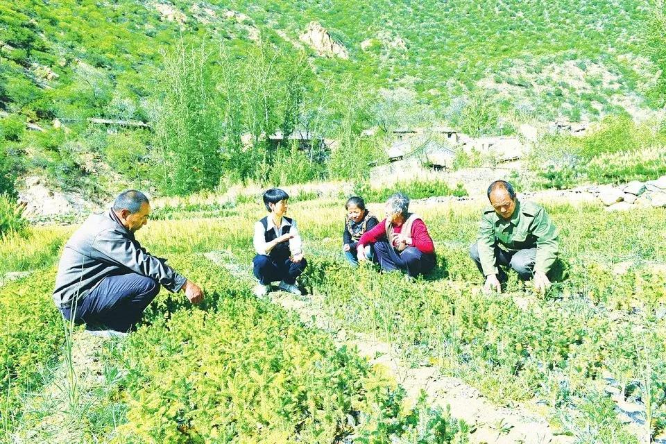 北京科技大學(xué)最新新聞,小巷深處的獨(dú)特風(fēng)味探索揭秘