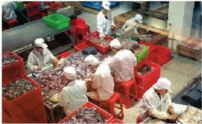 瀏陽新聞?wù)痼@社會,最新殺人事件消息更新