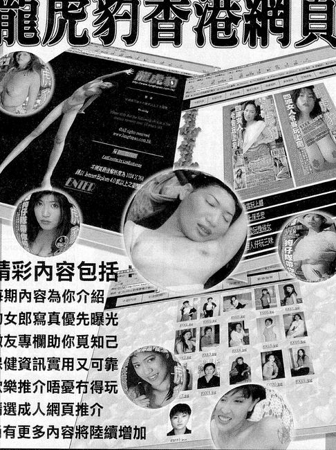 香港龍虎豹最新地址揭秘,探索自然美景,尋覓內(nèi)心寧靜之旅