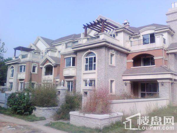 唐山鄉居假日最新動態更新通知